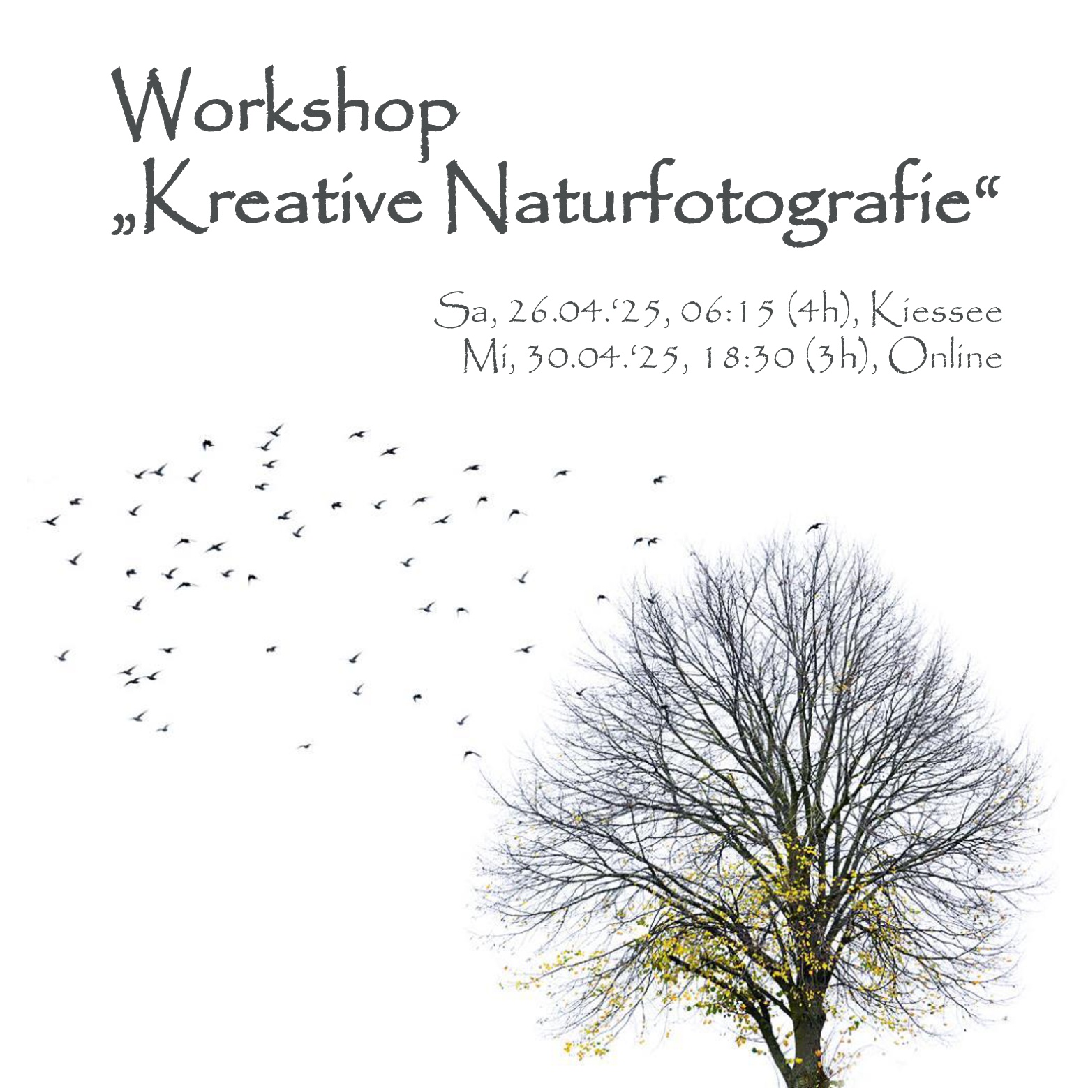 Insta Workshop 001