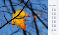 Postkartenkalender 2015: Dünen auf Föhr (November)