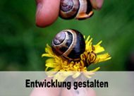 Entwicklung gestalten (Marte Meo Postkarte)