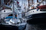 denmark 8294