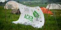 acker 7234