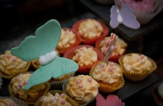 wedding karlsruhe 2762
