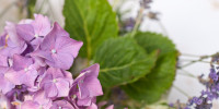 wedding karlsruhe 4733
