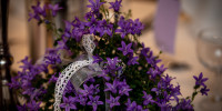 wedding schriesheim 5379