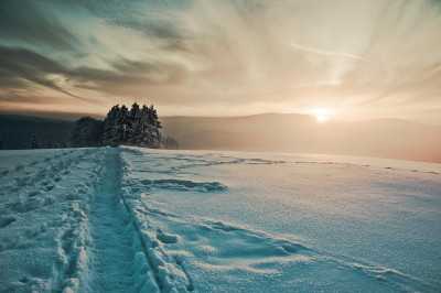winter 1 winter 1
