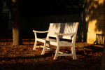 herbst 8658