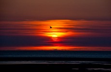 nordsee 158 2