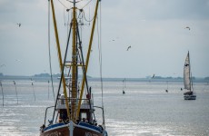 nordsee 4337