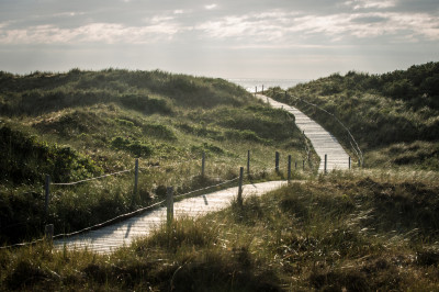 Dünenlandschaft auf Spiekeroog Dünenlandschaft auf Spiekeroog