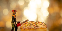 arbeiter am donut 7141