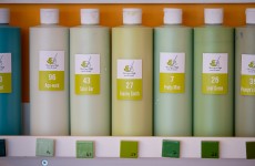 paint goe web 8872