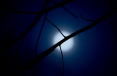 mond 4368