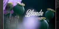 blende