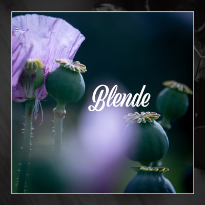 blende blende