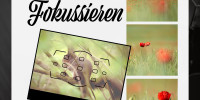 fokussieren