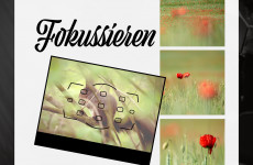 fokussieren