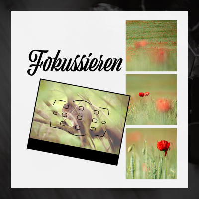 fokussieren fokussieren