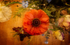 icm  2