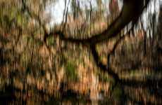 icm 