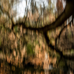 icm icm