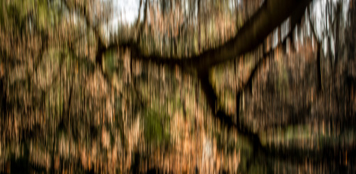 icm icm