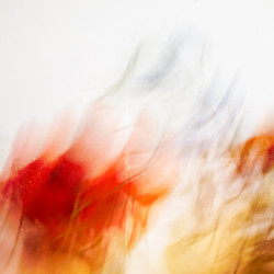 icm 3 icm 3