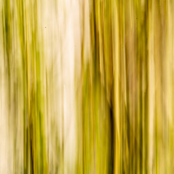 ICM Foto Weide ICM Foto Weide