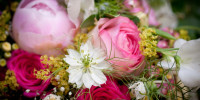 wedding 5151