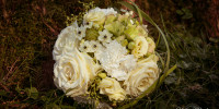 wedding 6774