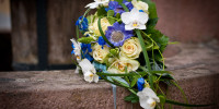 wedding 7256