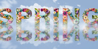 spring