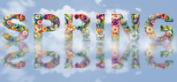 spring