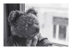 Teddybär fotografiert mit einer Contaflex