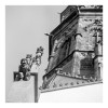 Wasserspeier an der Jacobykirche in Göttingen | Mamiya C33