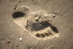 Detailfoto am Strand 