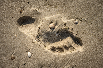 Detailfoto am Strand Detailfoto am Strand