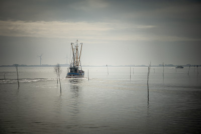 Bildungsurlaub Fotografie: Fischkutter zwischen Neuharlingersiel und Spiekeroog Bildungsurlaub Fotografie: Fischkutter zwischen Neuharlingersiel und Spiekeroog