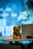 alter Teddy neben einem Laptop
