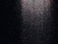 flower shower