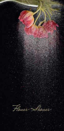 flower shower
