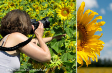 beim Fotografieren in der Provence