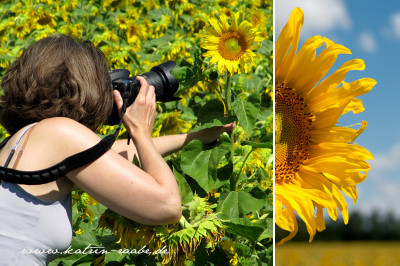 beim Fotografieren in der Provence