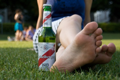 picknick am neckar picknick am neckar