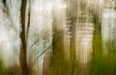 icm
