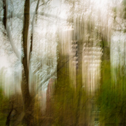 icm icm