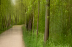 icm