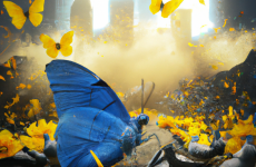 dall e 2023 02 25.17.44   a whimsical  dreamy image of a blue pigeon photographed by annie leibowitz sitting on rubble surrounded by magical yellow butterflies by diane arbus  