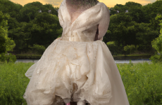 dall e 2023 02 25.08.02   a whimsical  dreamy image of a pigeon photographed by annie leibowitz by elements inspired by fairy tales  such as magical creatures photographed b