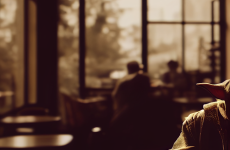 before.sunrise master yoda with a beer in a vintage cafe warm l a04ddb87 b51e 4ea9 b6a3fc8b07a13a4