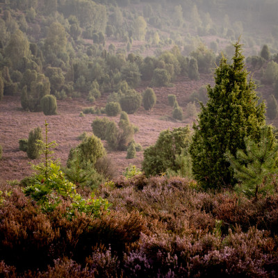 Blick in den Totengrund